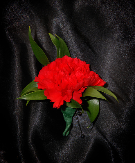 Boutonniere - Carnation