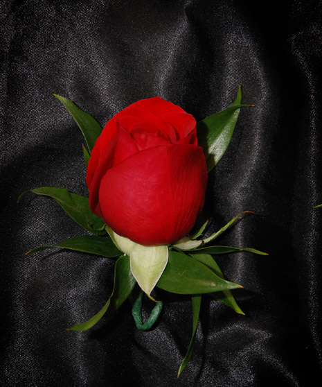 Boutonniere - Rose