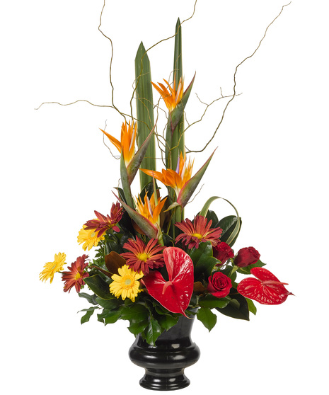 Fall Colours - Tribute Urn