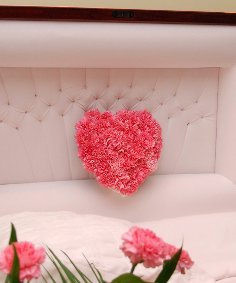 Panel Spray - Heart Carnations