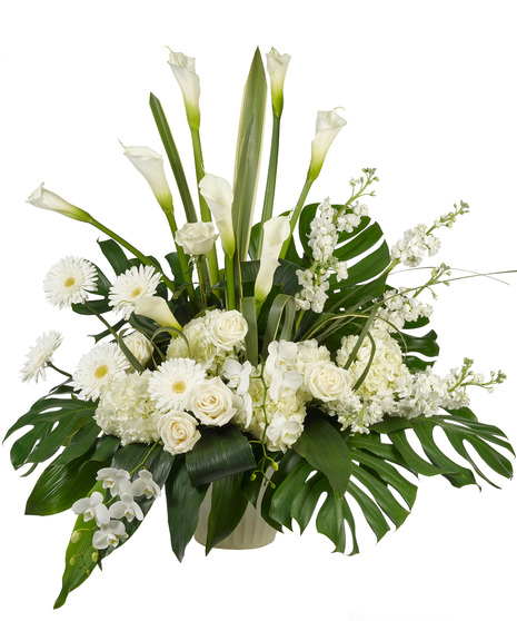 White Flowers - Tribute Calla Lilies