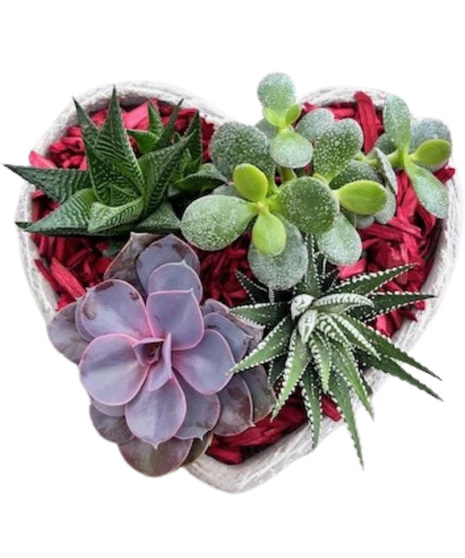 Heart Succulent Planter