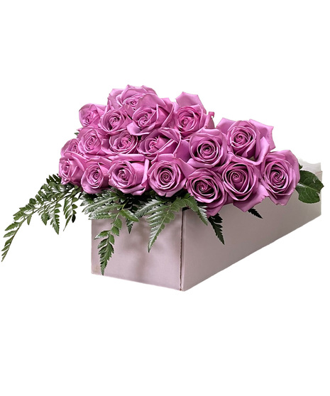 12, 18 or 24 Purple Roses Gift Boxed