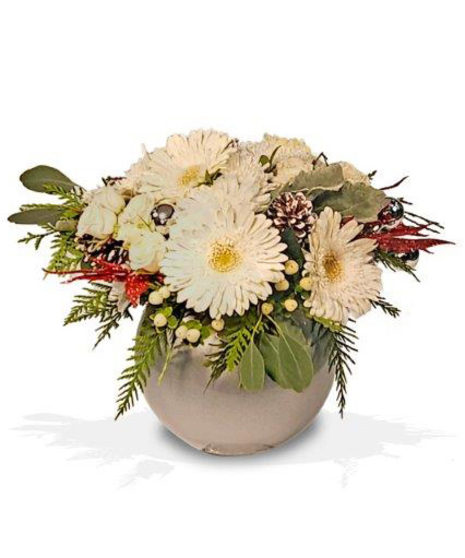 Christmas arrangement with gerberas arranged in round silver bowl vase