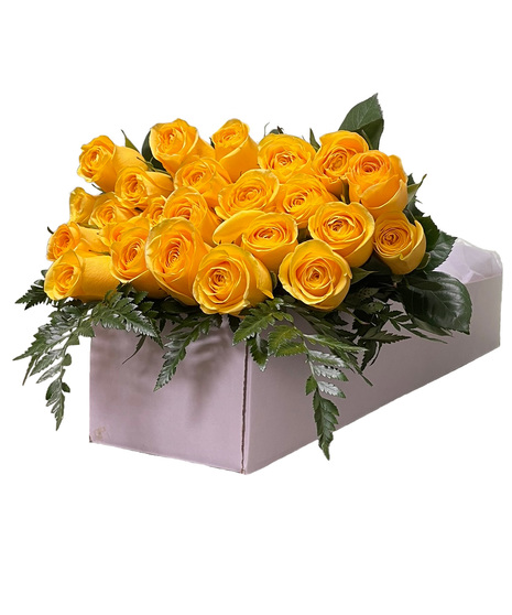 12, 18 or 24 Yellow Roses in a Gift Box